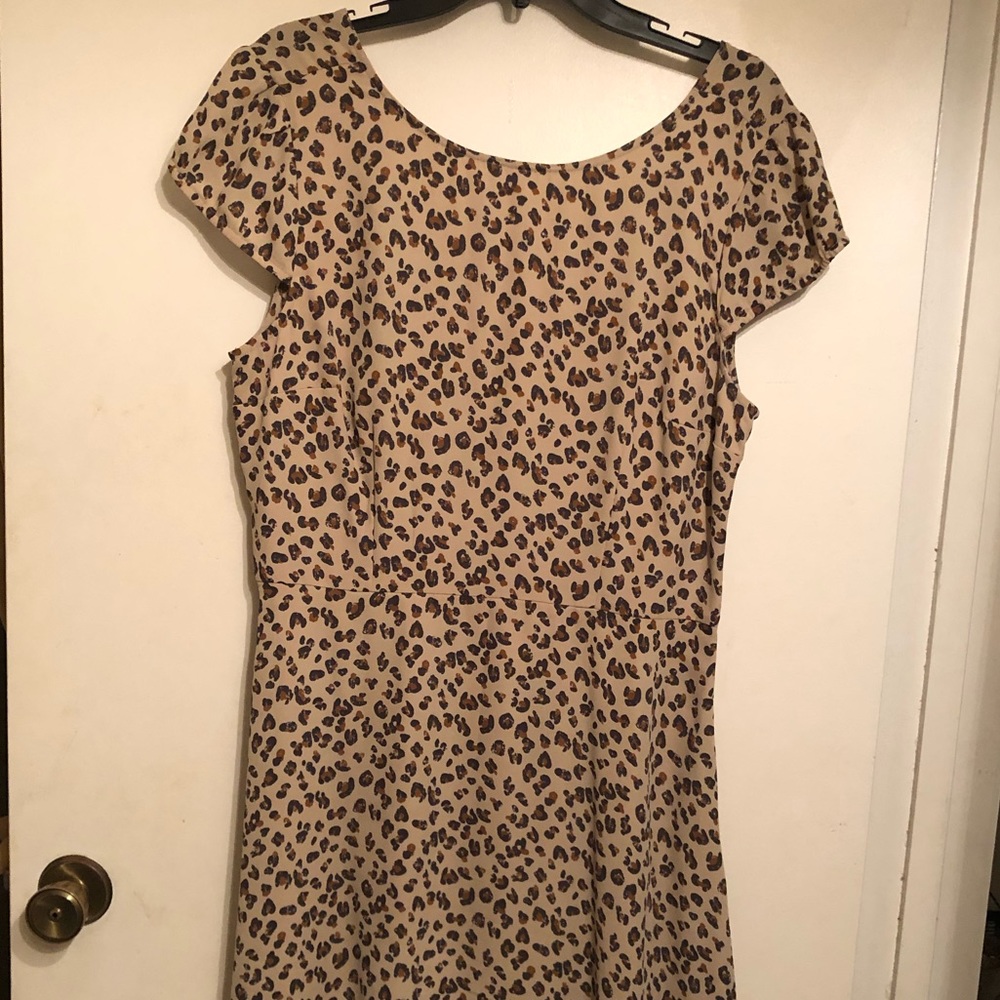 NWT Leopard print skater dress